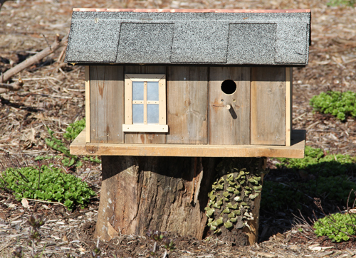 treehouse for birds